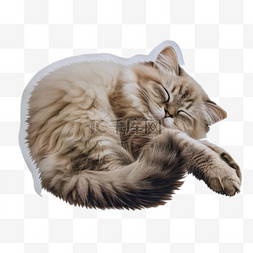 睡觉猫咪元素立体免抠图案