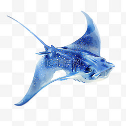 蓝色鳗鱼元素立体免抠图案