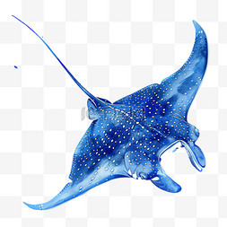 尖嘴鳗鱼图片_蓝色鳗鱼元素立体免抠图案