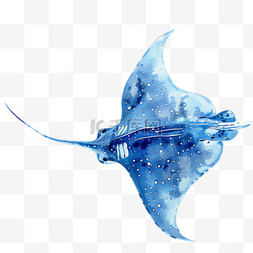 尖嘴鳗鱼图片_蓝色鳗鱼元素立体免抠图案