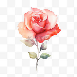 粉玫瑰鲜花元素立体免抠图案
