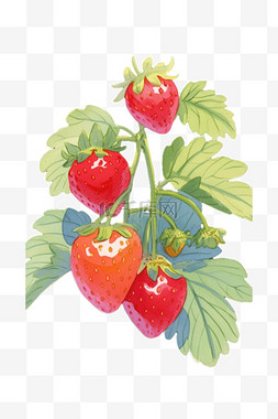 手绘草莓背景图片_草莓插画免抠元素手绘
