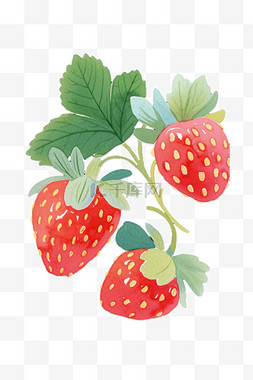 草莓手绘插画免抠元素
