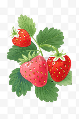 手绘草莓背景图片_草莓插画手绘免抠元素