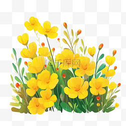 黄色的花朵手绘夏天免抠元素