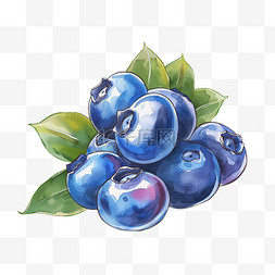夏日水果蓝莓水彩风蓝莓元素