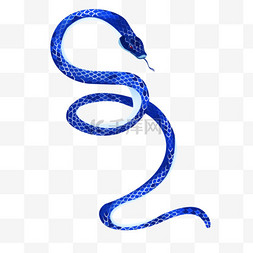 青花蛇蛇年元素