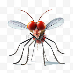 写实昆虫蚊子元素立体免抠图案