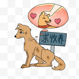 宠物领养收养求收养流浪狗png图片