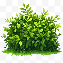灌木群落图片卡通灌木丛