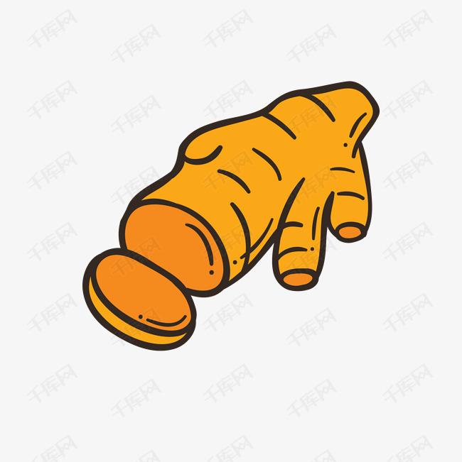 生姜矢量插画png