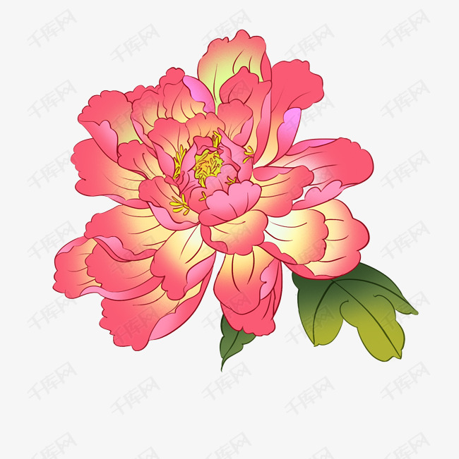 国色天香牡丹花插画