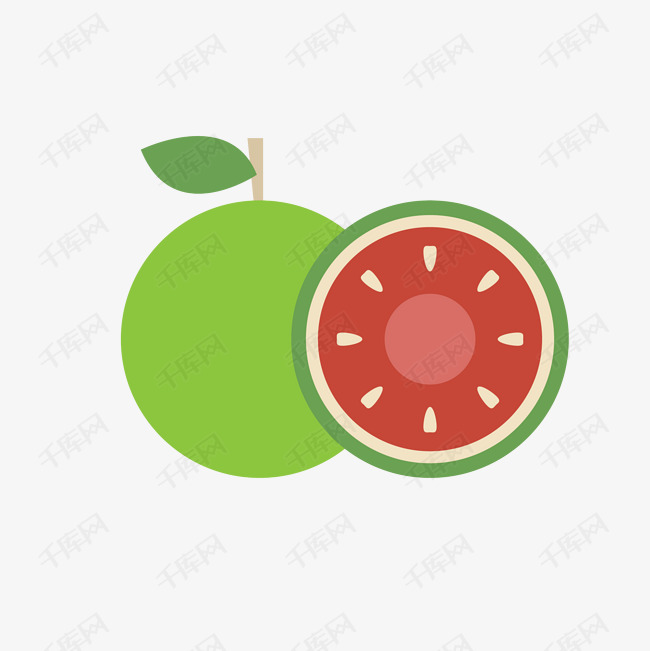 西柚矢量插画png