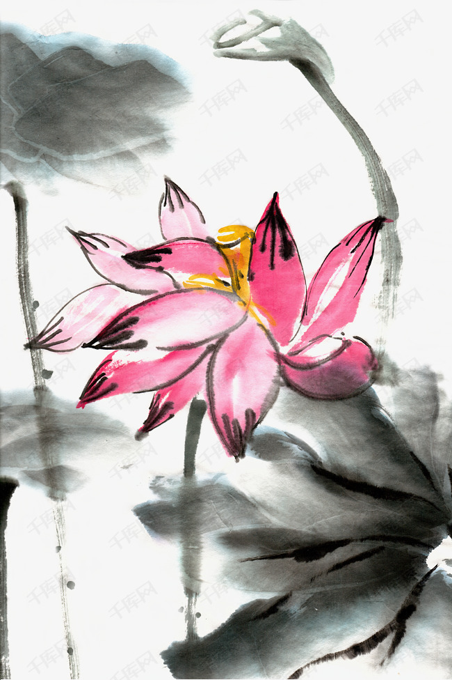 夏日荷花鲜艳水墨画png免抠素材