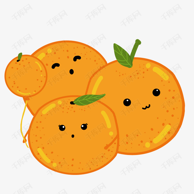 水果柑橘手绘插画
