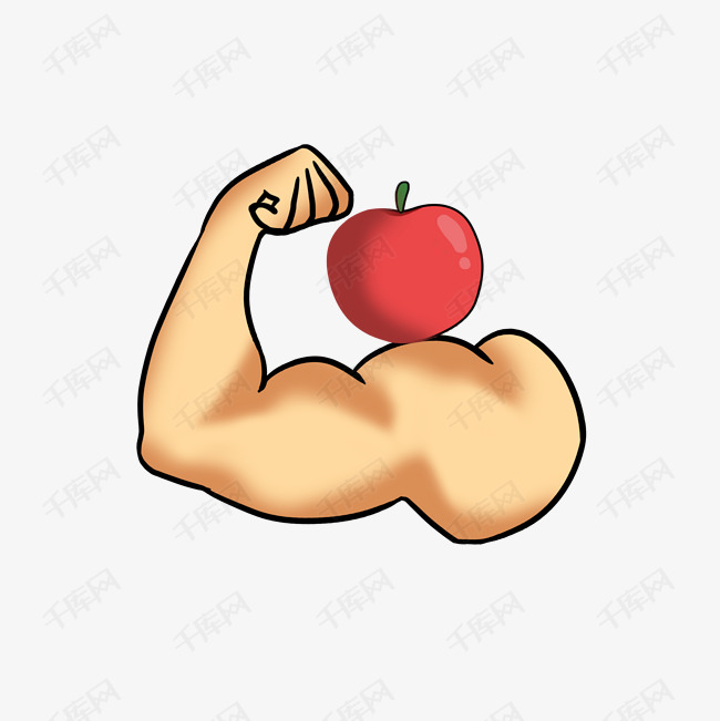 手绘健身手臂肱二头肌插画