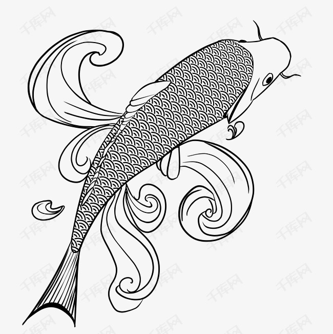 线描鲤鱼锦鱼插画素材图片免费下载_高清psd_千库网(图片编号11307782