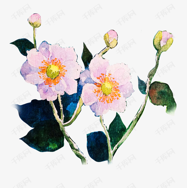 手绘花朵小清新手绘花手绘草水彩花