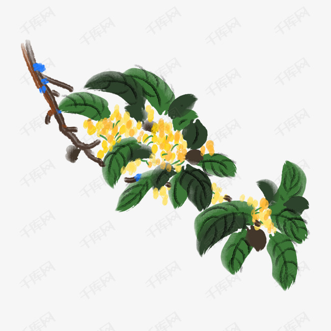 秋冬手绘金色桂花插画