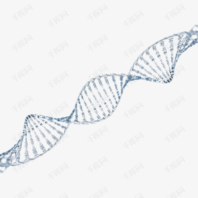 灰色dna遗传物质基因肽链脱氧核糖核酸png