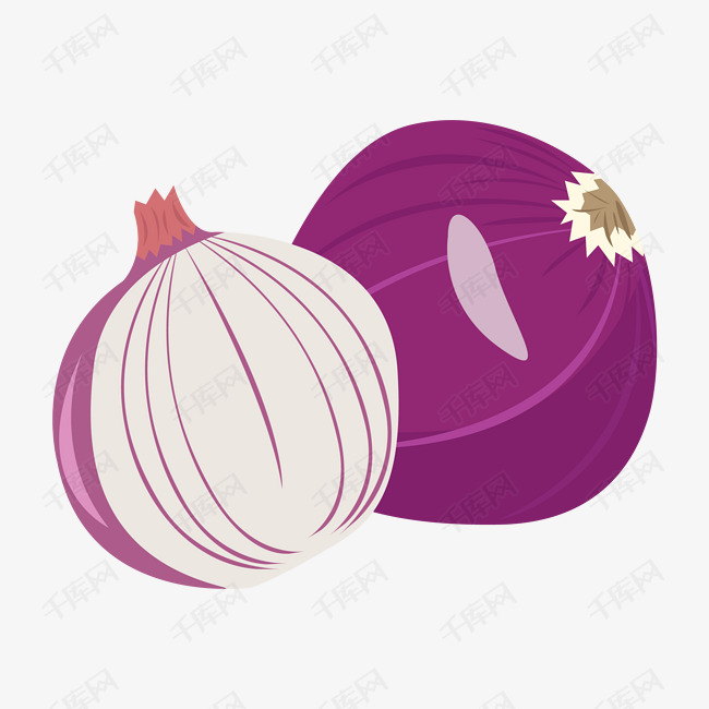 手绘蔬菜洋葱插画