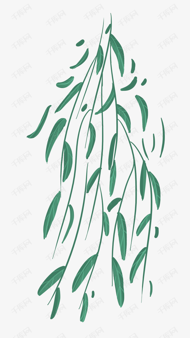 手绘墨绿色的柳条插画