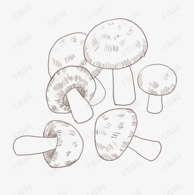 手绘白菇线描插画