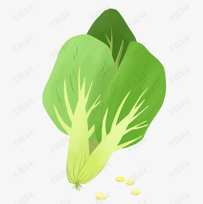 卡通手绘青菜免扣psd文件二