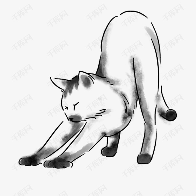 伸懒腰的猫漫画图片