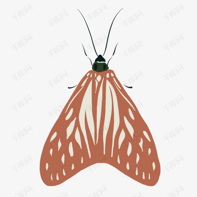红色的飞蛾免抠图