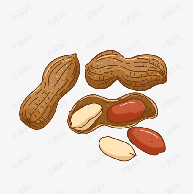 卡通手绘剥开的花生png免抠素材