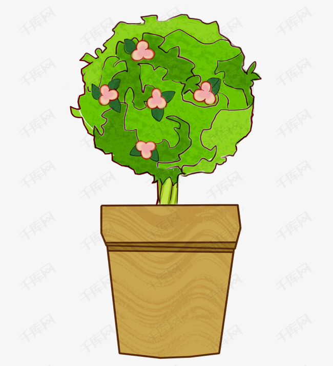 圆形绿色植物盆栽