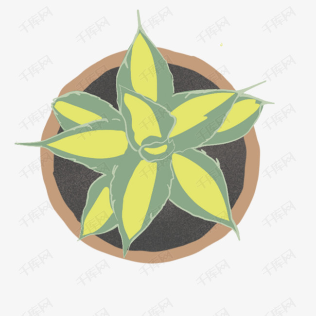卡通芦荟植物盆栽平面图