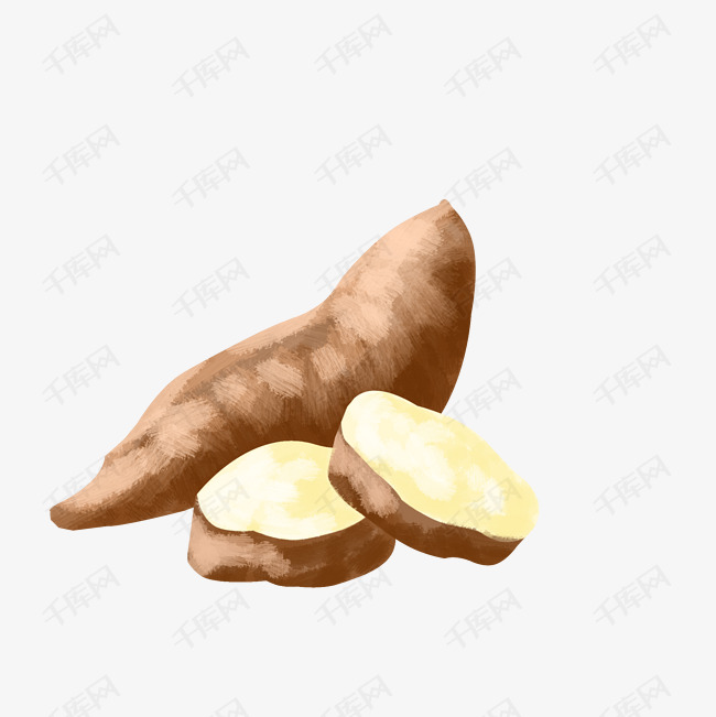 黄色的白薯手绘插画