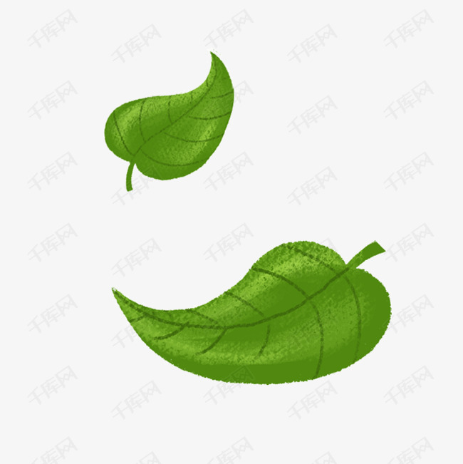 绿色的两片叶子免抠图