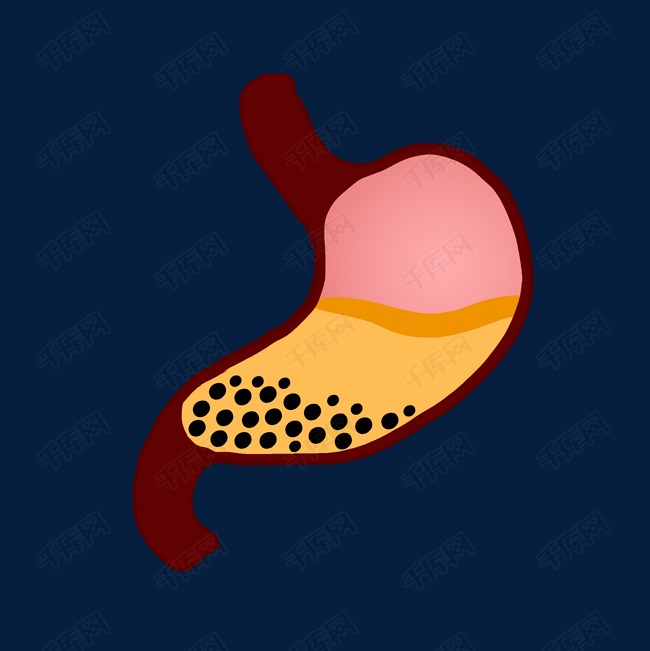 消化器官組織插畫的素材免摳生物學器官人體器官卡通插畫器官插畫器官