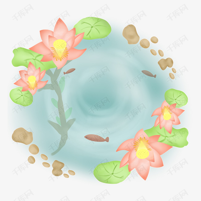 夏季在水中绽放的荷花