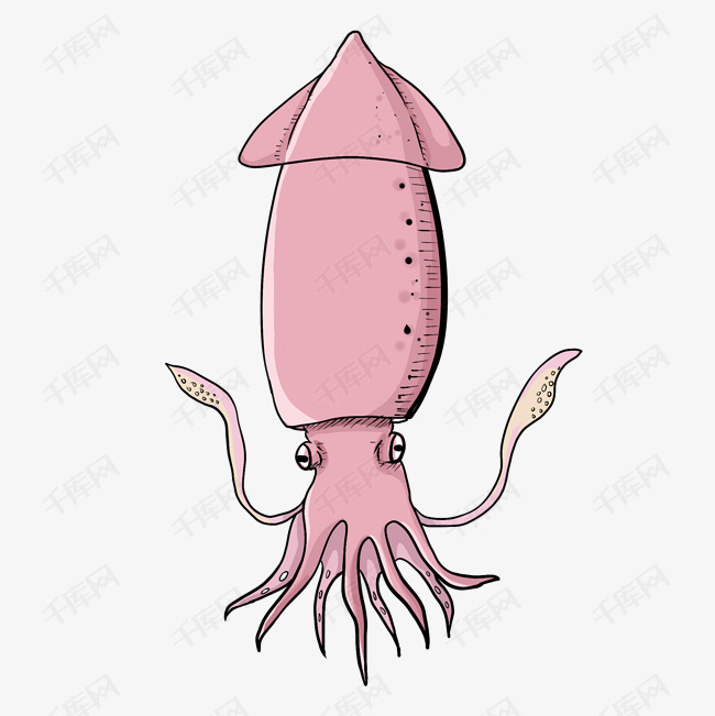 美味可口的橘红色鱿鱼