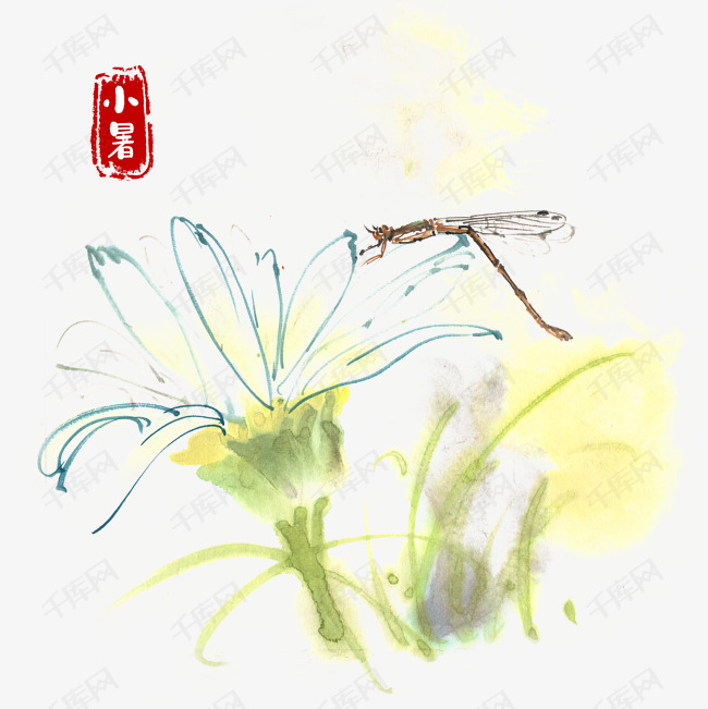 小暑花瓣上的豆娘水墨画