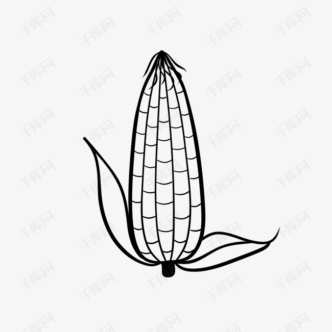 黑色玉米线条