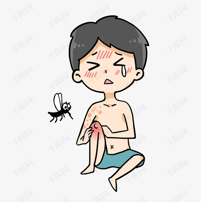 黑色蚊子叮咬男孩