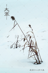 寒风插画图片_大寒雪原枯草寒风