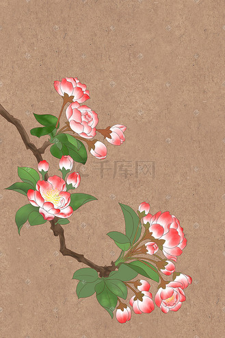 花卉插画垂丝海棠国画水墨工笔