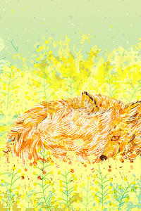 动物嬉戏图插画图片_暖色调油菜花节狐狸在油菜花海中嬉戏配图