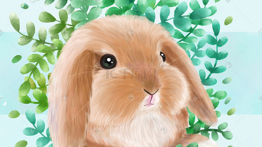 写实宠物插画图片_可爱宠物垂耳兔头像
