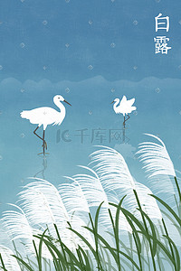 鸟类动物插画图片_手绘大雾茫茫白露节气芦苇河边白鹭戏水插画