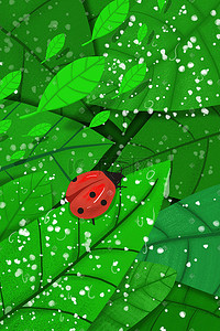 绿色的小树叶插画图片_惊蛰树叶上的红色瓢虫绿色小清新插画