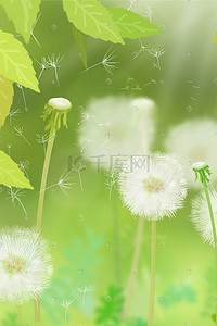 超多绿叶汇聚散开插画图片_花卉植物绿叶蒲公英手绘插画psd