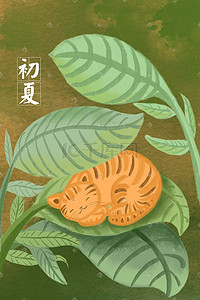 叶子上的猫咪初夏背景图