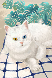 猫咪宠物插画图片_文艺猫咪宠物可爱